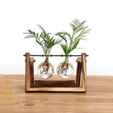 Vasos de Bulbos de Vidro com Soporte de Madera